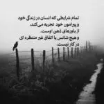 دانلود آهنگ تاج سرمی آره درمون دردمی مرهمی واسه دلم “هوش مصنوعی” از هایده، محسن چاوشی